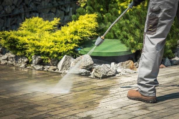 Best Animal Enclosure Cleaning  in Bedford, VA